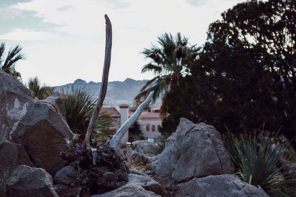 CLOSE-UP OF ROCKS AGAINST MOUNTAIN