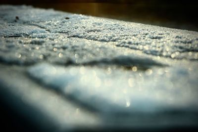 Close-up of snow on water