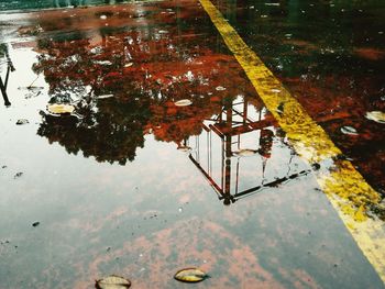 High angle view of autumn leaf in puddle