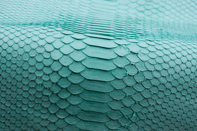 Full frame shot of swimming pool, python skin background