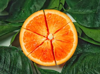 High angle view of orange slices