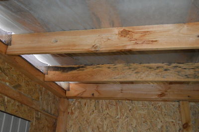 Low angle view of wooden ceiling of building