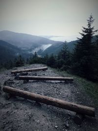 Scenic shot of mountain range