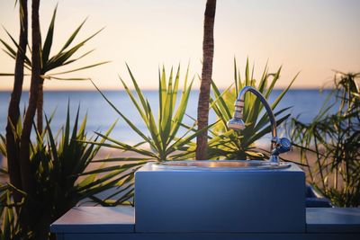 Close-up of potted plant on table against sea