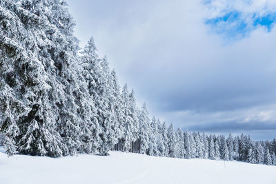 Snow covered land against sky