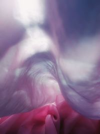 Close-up of woman hand on pink flower