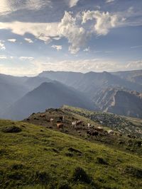 Scenic view of landscape against sky