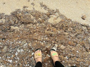 Low section of person standing on beach