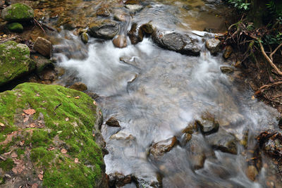 High angle view of stream flowing through rocks in forest