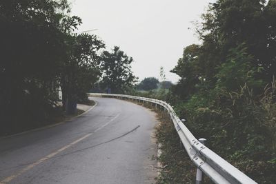 Empty road along trees