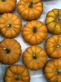 Full frame shot of pumpkins on table