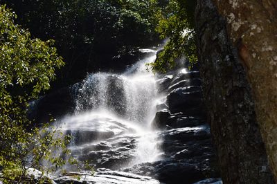 Waterfall in forest