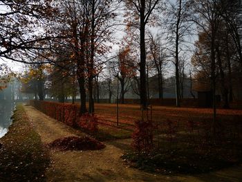 Road amidst trees during autumn