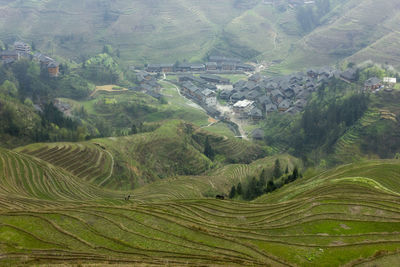 High angle view of agricultural field