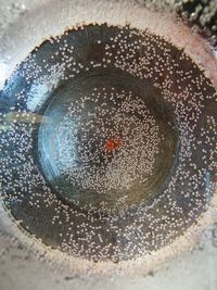 High angle view of drink in water