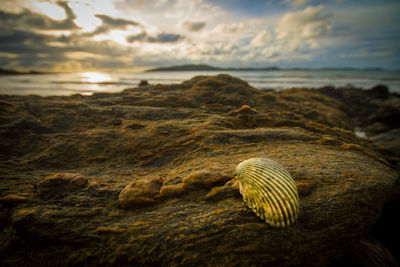 Scenic view of rocks on beach against sky