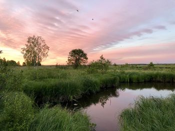 Scenic view of field against sky during sunset