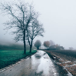 Wet road amidst field against sky during monsoon