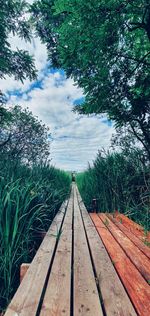 Railroad track amidst trees against sky