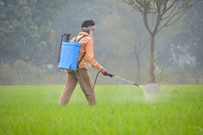 Indian farmer spraying fertilizer in his wheat field