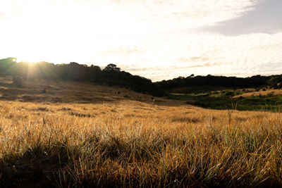 Scenic view of field against sky during sunset