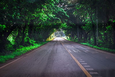 Road amidst trees in forest