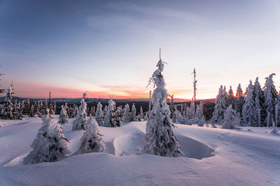 Scenic view of snow covered field against sky during sunset