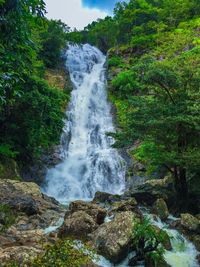 Scenic view of waterfall in forest