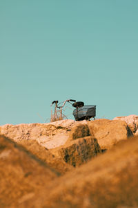 Low angle view of bird perching on rock against clear sky