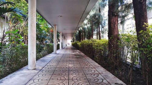 Empty footpath amidst buildings in city