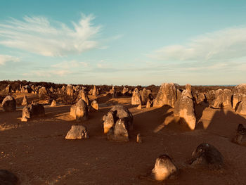 Panoramic view of an animal on rock formation against sky