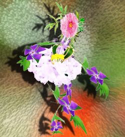 Close-up of purple flowers