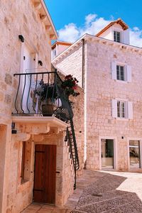 Potted plants on wall of building