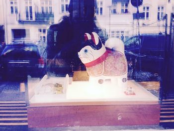 Close-up of cat by window in store