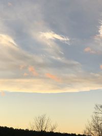 Silhouette trees against sky during sunset