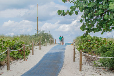 Rear view of people walking on road amidst trees against cloudy sky