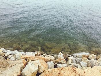 High angle view of rocks on beach