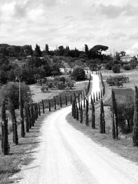 View of road amidst trees on field against sky