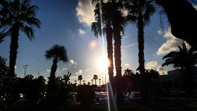 palm tree, tree, sun, sunset, sky, silhouette, sunlight, car, sunbeam, lens flare, transportation, land vehicle, nature, building exterior, growth, street, cloud - sky, tree trunk, mode of transport, cloud