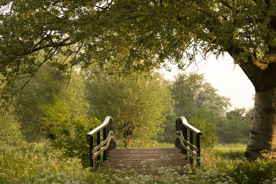 Empty bench in park