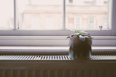 Close-up of carving on wall