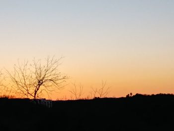 Silhouette bare tree on field against clear sky during sunset