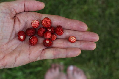 Close-up of hand holding strawberries