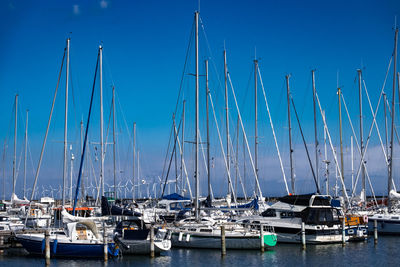 Sailboats moored in harbor