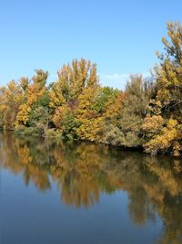 Scenic view of lake by trees against clear sky