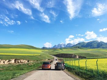 Road passing through field