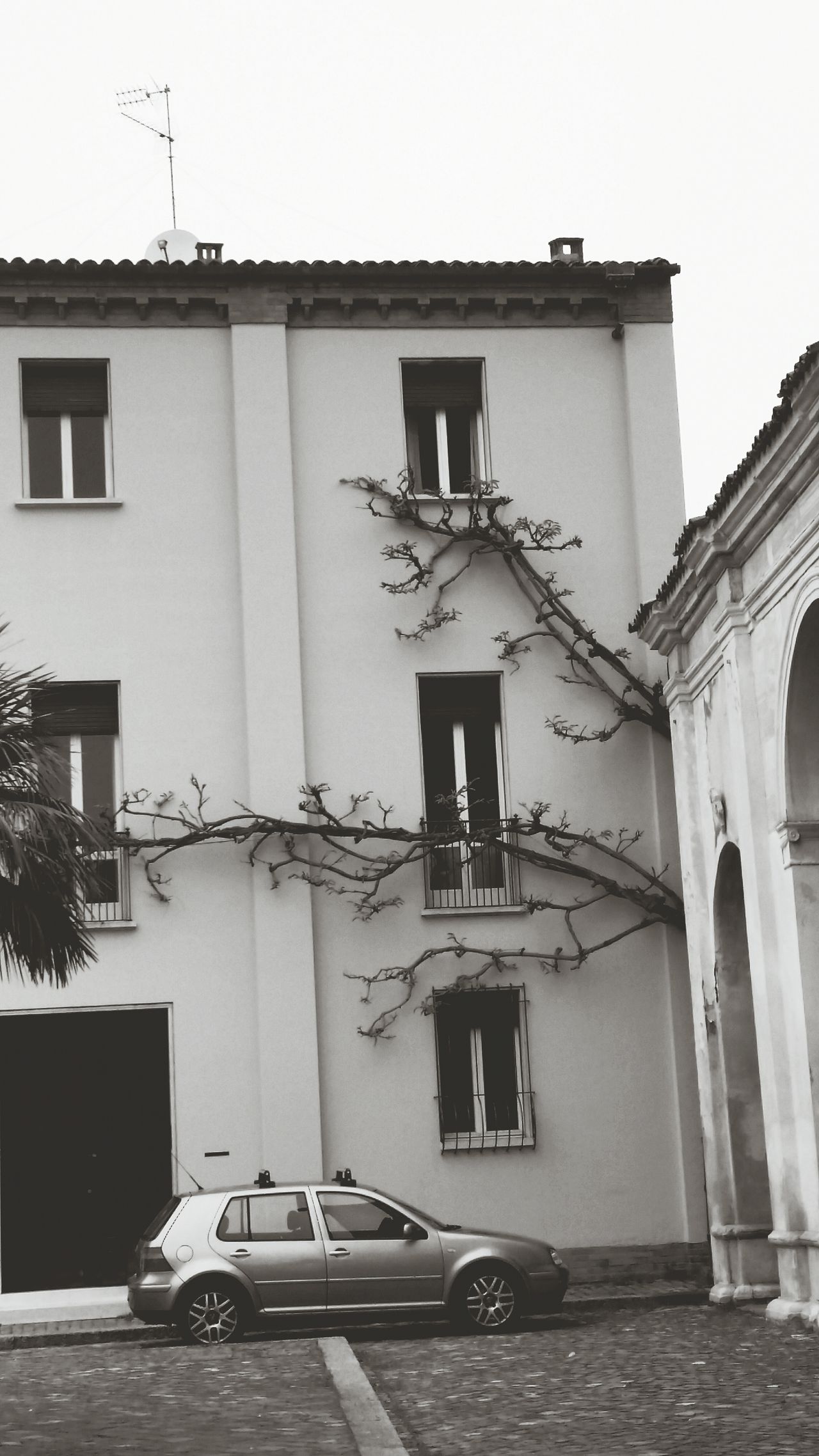 Basilica di Ss. Vitale e Compagni Martiri in Fovea