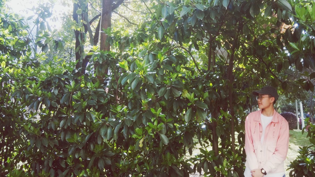 tree, one person, standing, adults only, one woman only, day, only women, outdoors, nature, people, adult, palm tree, bamboo grove