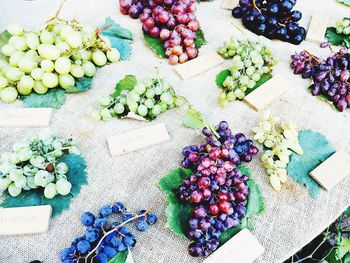 High angle view of fruits