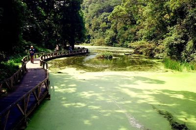 People on footbridge over river in forest